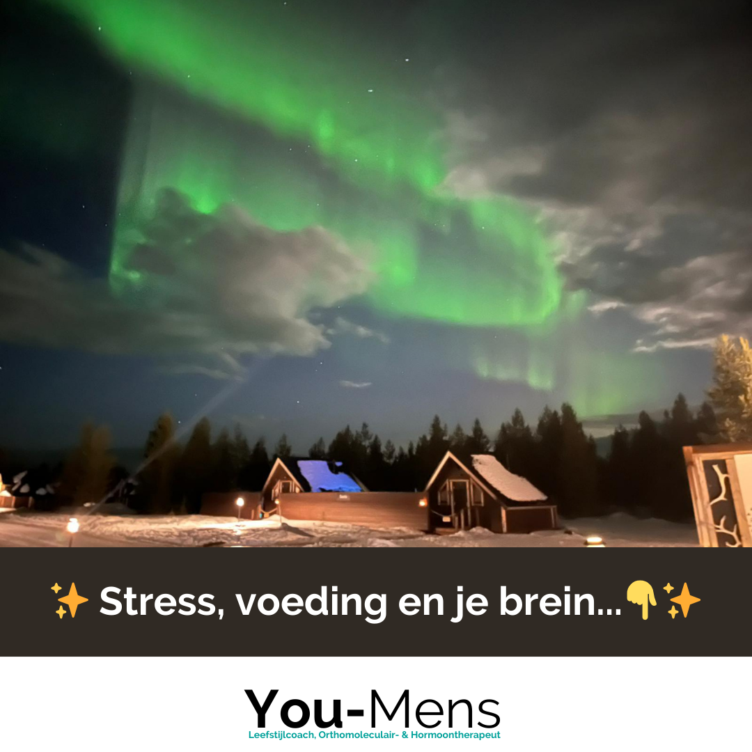 De invloed van voeding, stress en je brein op angst en emoties