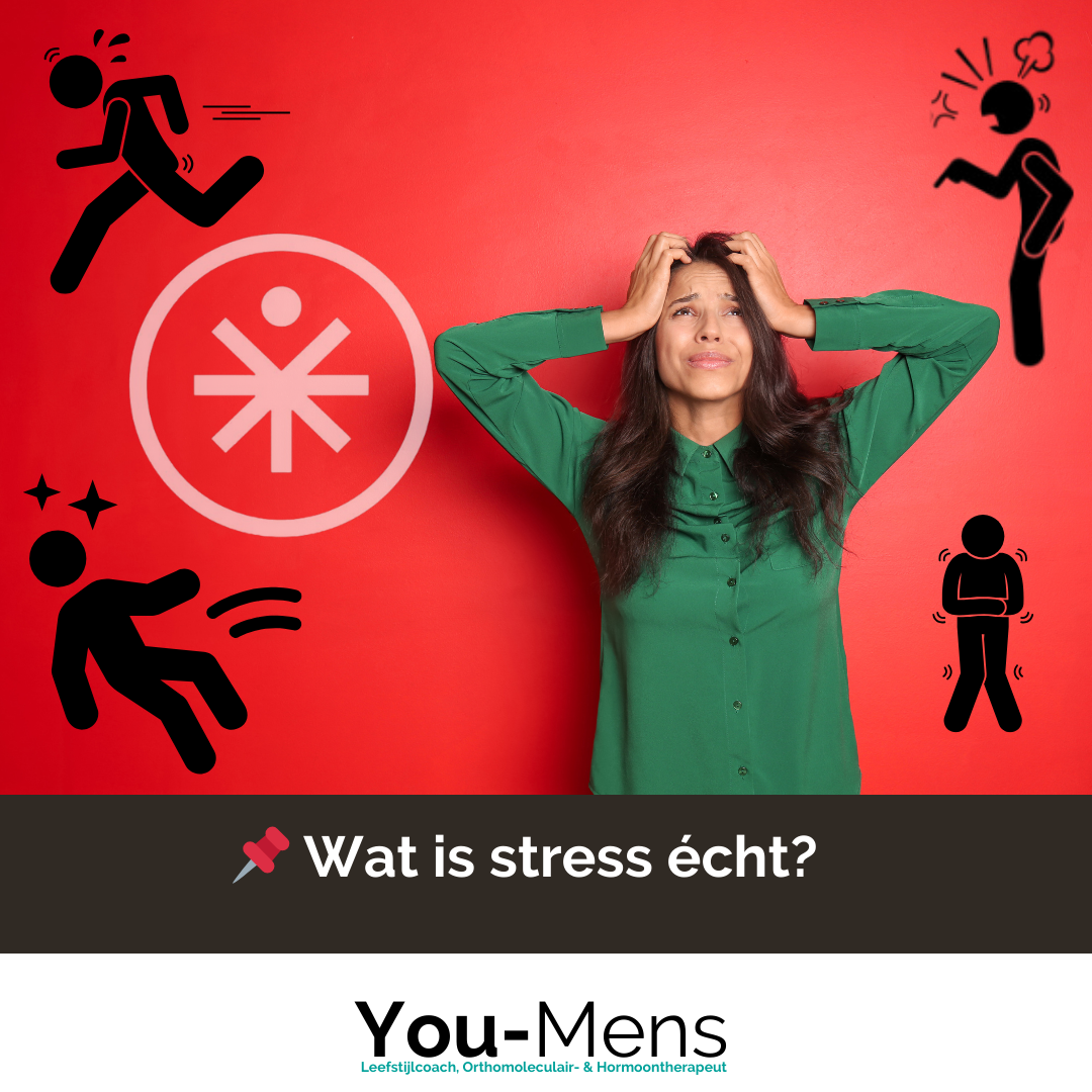 Wat is stress echt? Ontdek hoe vechten, vluchten, bevriezen en pleasen je beïnvloeden